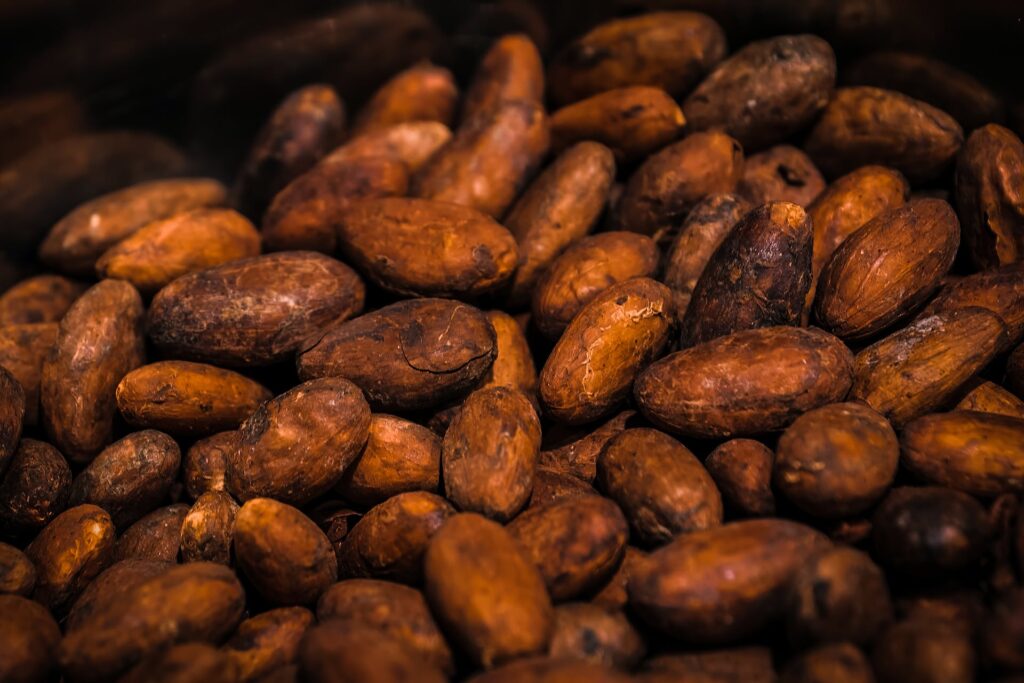 Cocoa beans 